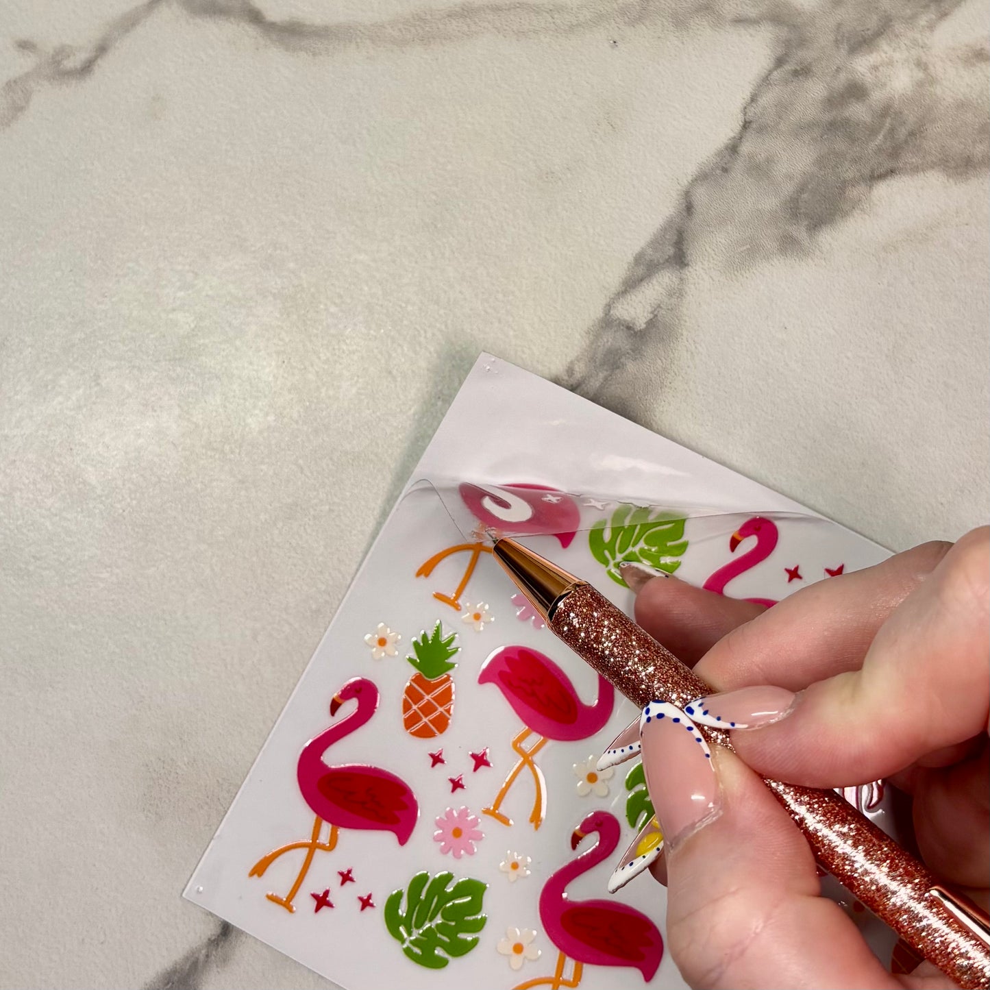 Stylo à pointe rétractable | Outil d’échenillage